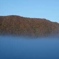 最初は白く、だんだんブル―に変わっていきます。