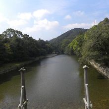 この橋から五十鈴川を綺麗に見えます