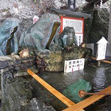 手水舎にもカエルの置物が沢山