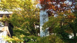 ～★☆色づき始めた紅葉が綺麗でした☆★～