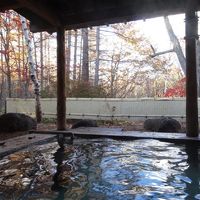 露天風呂は広くはないけど、とても良いお湯だった。