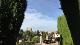 11月はちょっと緑が寂しい庭園