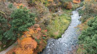 紅葉が美しかったです