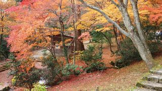 紅葉をめでる散策路です