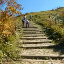 歩きやすい遊歩道があります