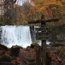 滝と紅葉のツーショット