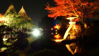 写真を撮るのも大変でした