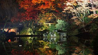 紅葉がきれいでした