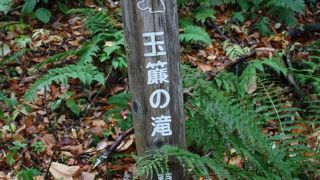 遊歩道から良く見えない滝です