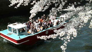 遊覧船も運航される都内有数の花見スポット