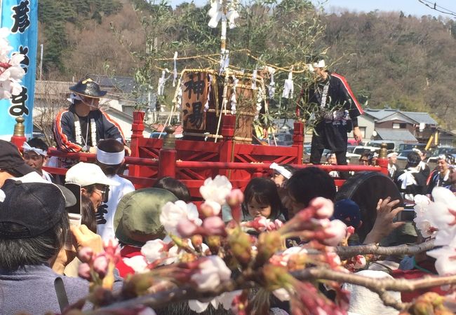 桜の季節に