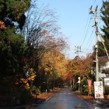 右手のリンゴ屋さんが元気でした