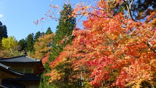 絶好の紅葉ポイントです！