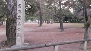 奈良公園だけだったら1日でも
