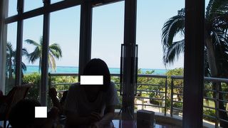 南国の景色を眺めながら