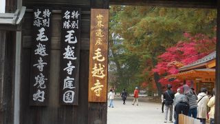 紅葉の赤が綺麗