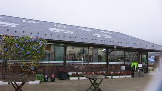 少々物足りない