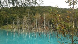 美瑛市街から南東方向に約20?程度離れたところに位置する景勝地