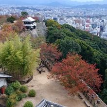 少しだけ紅葉が。