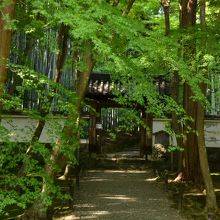 地蔵院の入口だにぃ