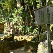 細川さんのお墓