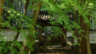 静寂な竹林と庭園を備える寺院