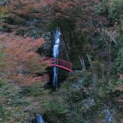 秋の散策・・・気もちぃいいです