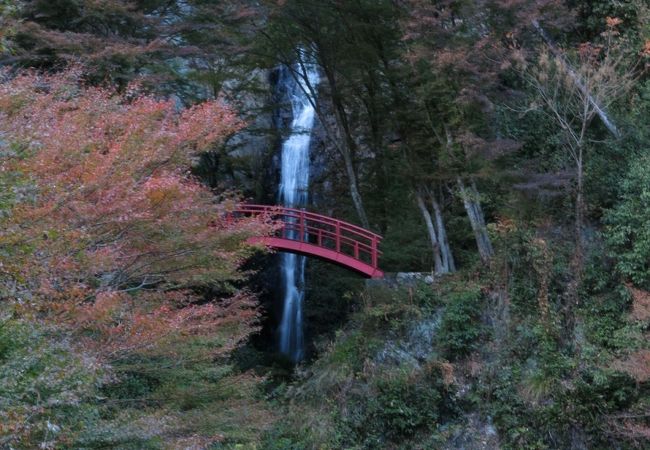 秋の散策・・・気もちぃいいです