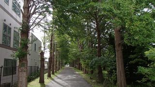 遺愛学院旧宣教師館