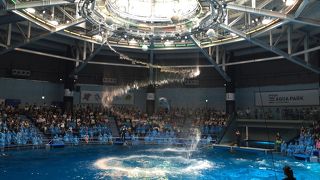 新しくなったアクアパーク！