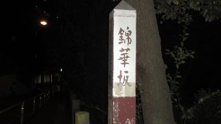 この近辺の坂の中では風情があるほうだと思いました