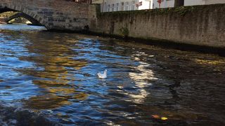 拙い日本語がいい