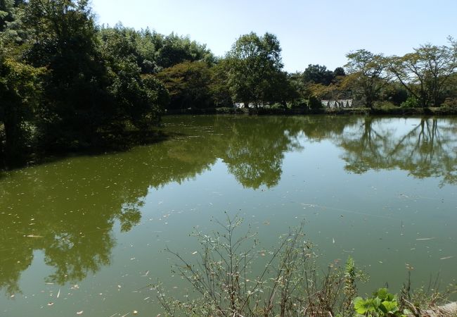 盛時には大伽藍を誇っていた、内山永久寺　山の辺の道　?　