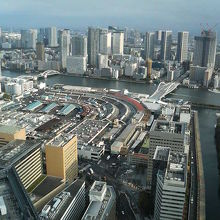 すぐそばの築地市場などを見下ろせます。