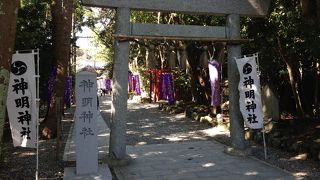 女性の願いを１つだけ叶えてくれる神社