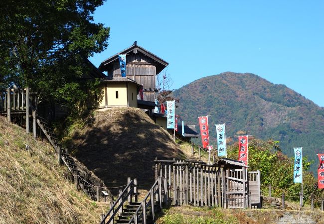 高根城（ＪＲ飯田線向市場駅南側トンネルの真上にある山城（砦）です）
