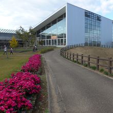 花も沢山咲いていました　建物は椿苑です