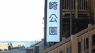 ひじりさきこうえん