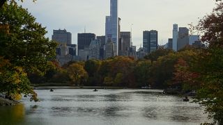 森林浴が楽しめる気持ちの良い公園