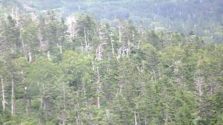 県境を駆け抜ける