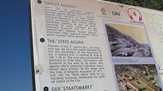 素直な感想は、ただの原っぱ