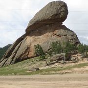 特定方向からだけが、亀に見える岩。