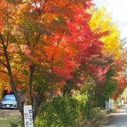 河口湖大橋すぐそば