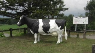 景色と牛乳は最高！