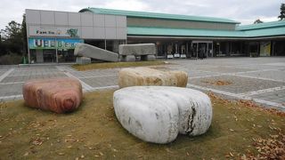 常盤湖を１周歩きながら彫刻ウォッチングしました。