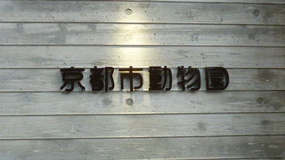 こどもたち楽しんでくださいね！