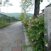 古くは六つの寺がありました、今は桜の名所です！