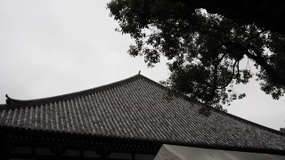 東寺の特別公開、魅力満載