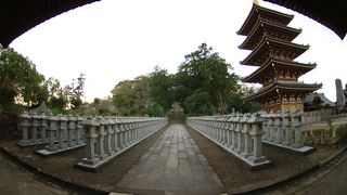 広い境内と長い石段