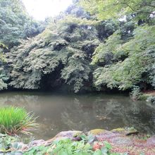 近衛邸跡の池。